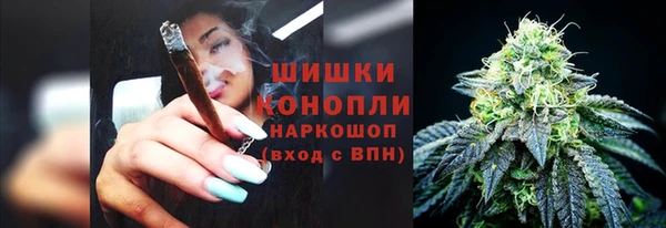 тгк Карпинск