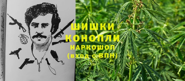 тгк Карпинск