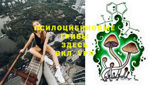 СК Касимов