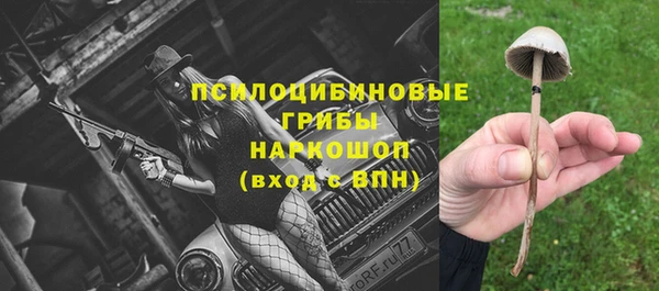 СК Касимов