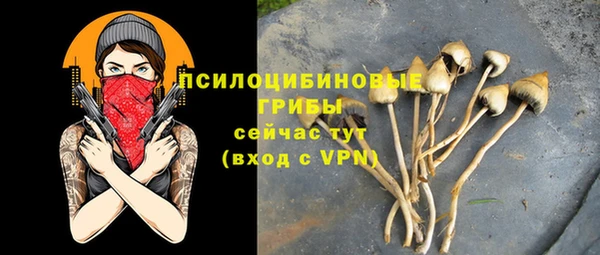 СК Касимов