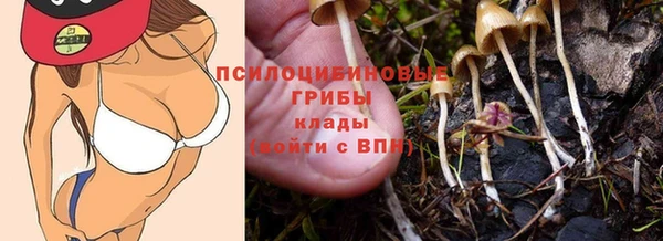тгк Карпинск