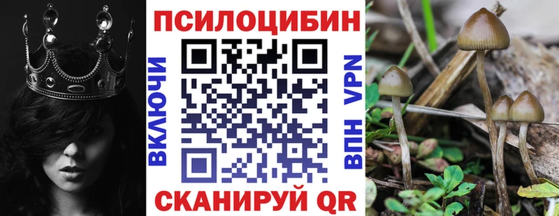Галлюциногенные грибы Psilocybe  Купить  Зубцов 