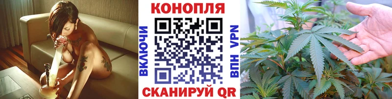 Шишки марихуана тримм  Купить  Зубцов 